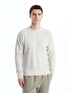LC Waikiki Crew Neck Long Sleeve Men's Tricot Sweater